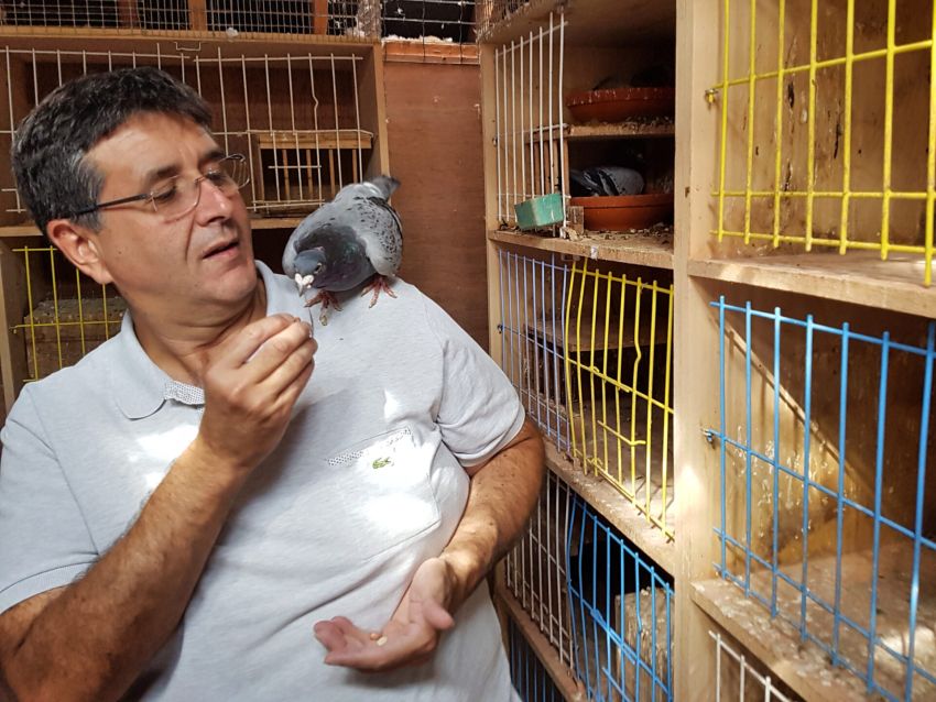Em ameno convívio com o "Chipo" de Benny Steveninck em 2018.