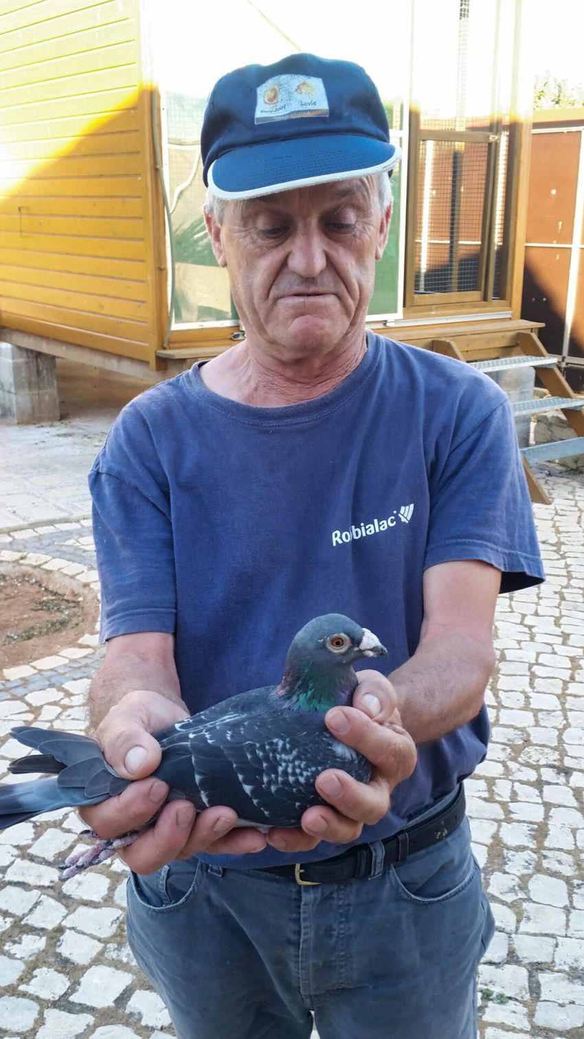 Fernando Passarinho